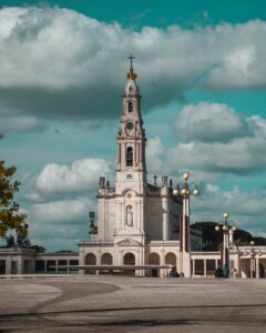 pexels-diogo-cacito-7818418